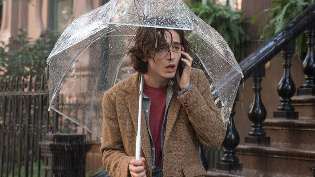 Timothee Chalamet dalam A Rainy Day in New York (2019)