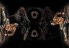 Review Film Hokum (2026): Mencekam Tanpa Henti Review Film Hokum (2026): Mencekam Tanpa Henti